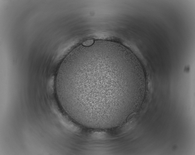 X0000111460066200907201122