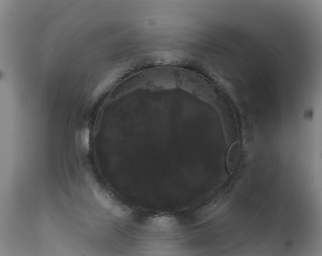 X0000111460067200907201122