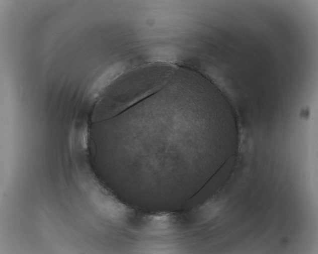 X0000111460068200907201122