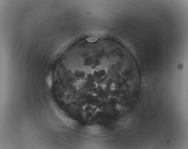 X0000111460069200907201122