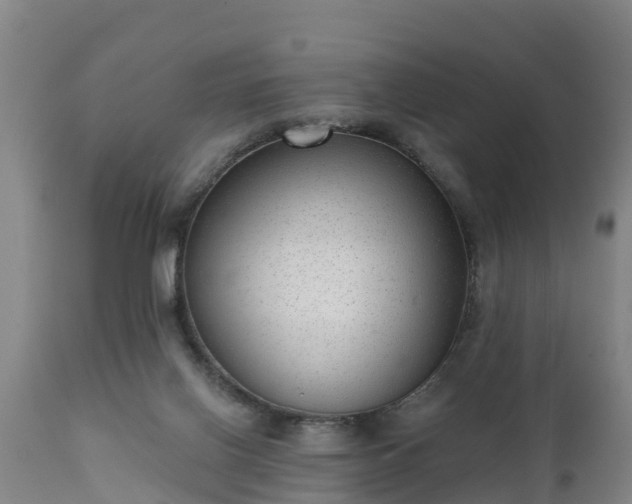 X0000111460070200907201122