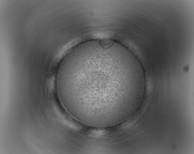 X0000111460071200907201122