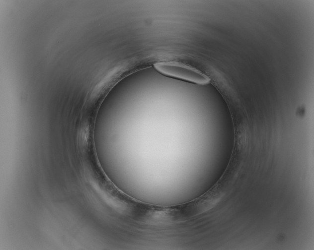 X0000111460072200907201122