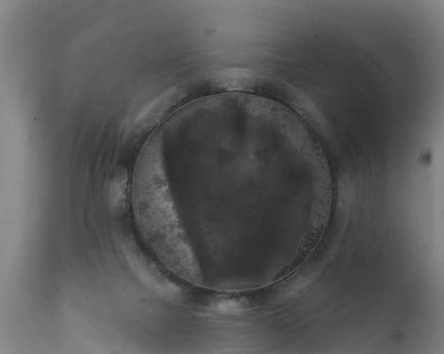 X0000111460073200907201122