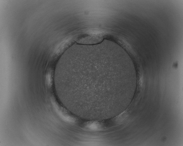 X0000111460074200907201122