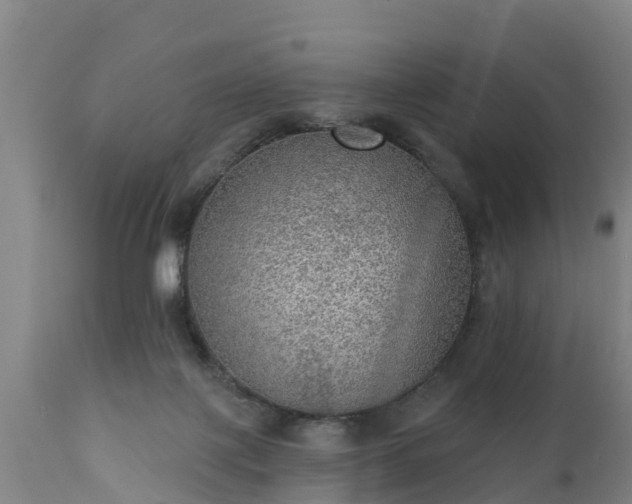 X0000111460075200907201122