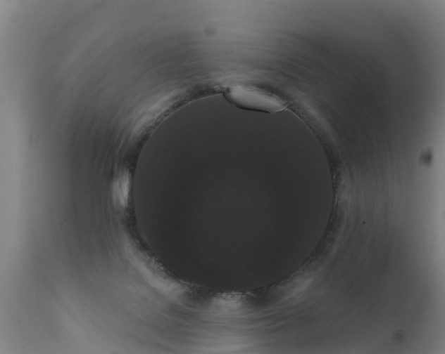 X0000111460076200907201122