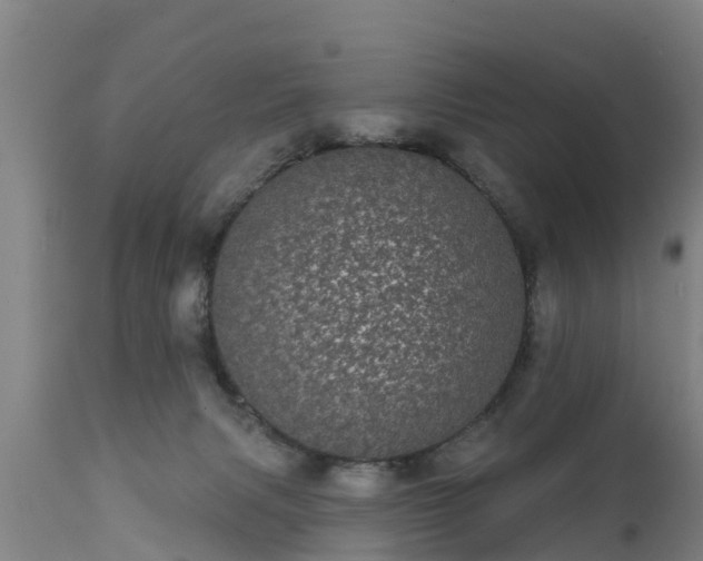 X0000111460079200907201122