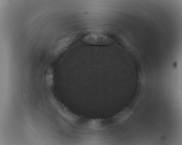 X0000111460080200907201122