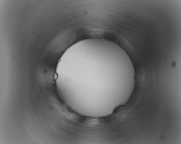 X0000111460083200907201122