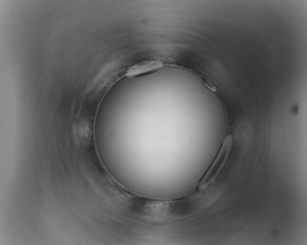 X0000111460084200907201123