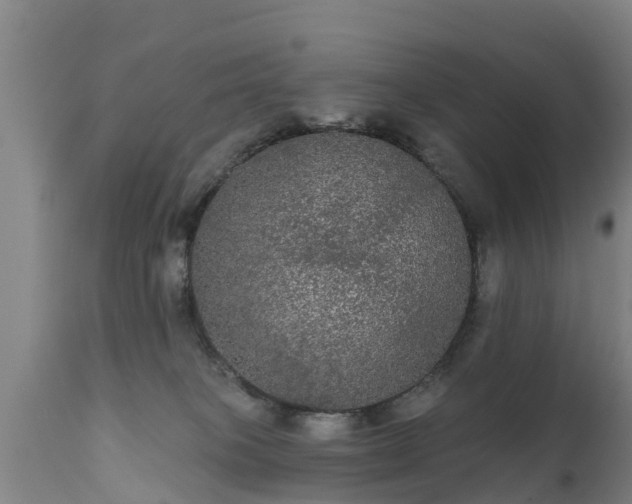 X0000111460085200907201123