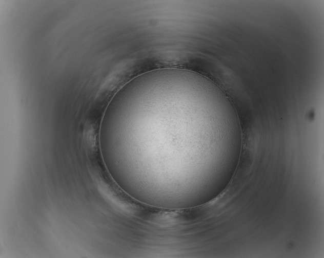 X0000111460086200907201123