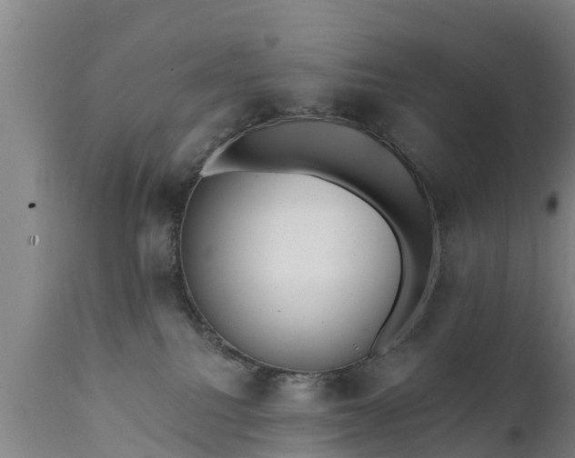 X0000111460088200907201123