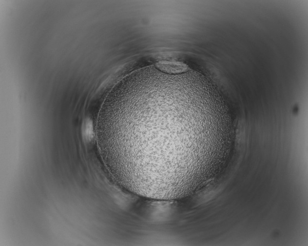 X0000111460089200907201123