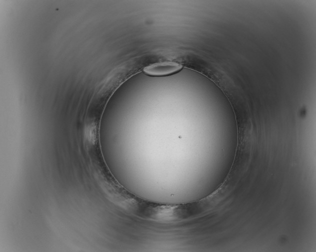 X0000111460090200907201123