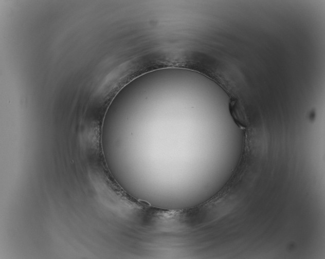 X0000111460092200907201123