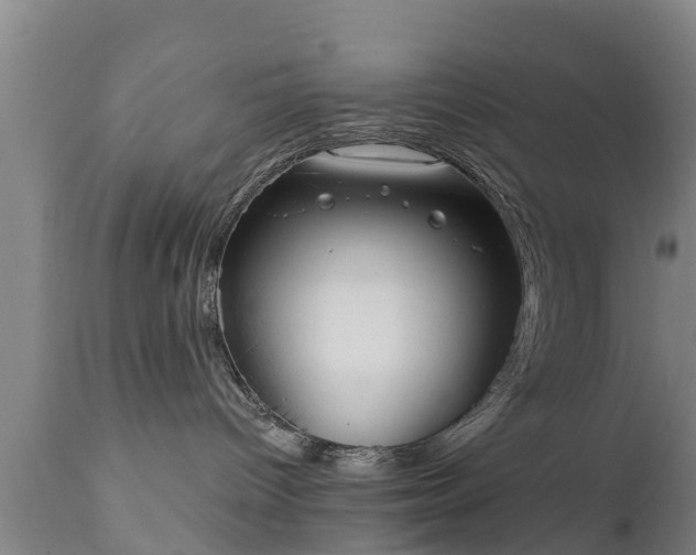 X0000111460096200907201123