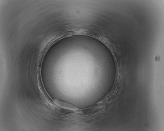 X0000111460097200907201122