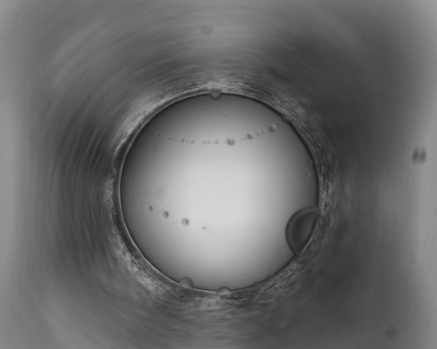 X0000111460098200907201122