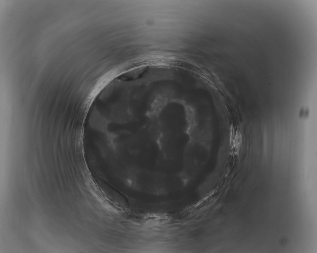 X0000111460099200907201122