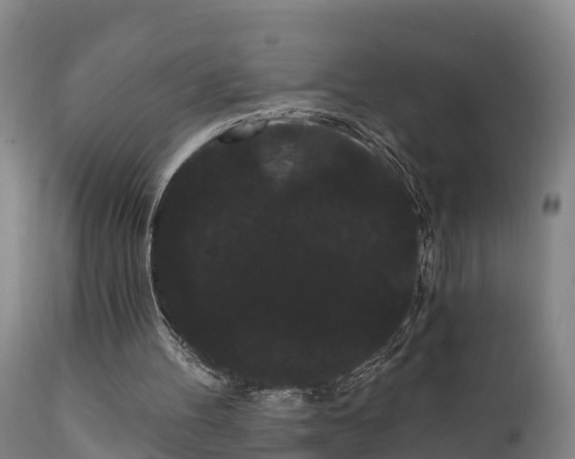 X0000111460100200907201122