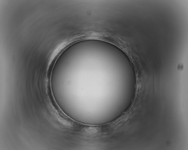 X0000111460102200907201122