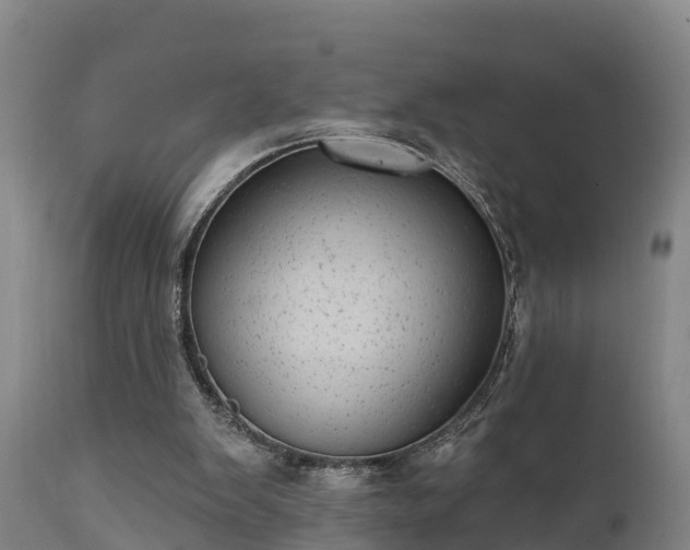 X0000111460103200907201122