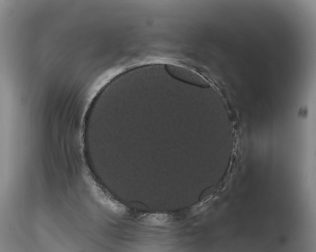 X0000111460104200907201122