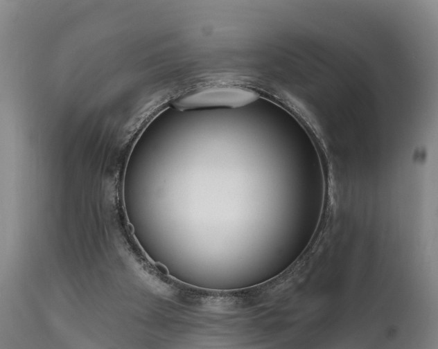 X0000111460105200907201122