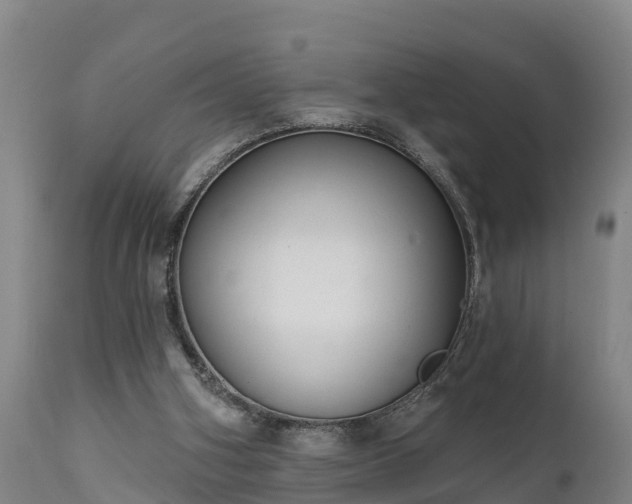 X0000111460106200907201122