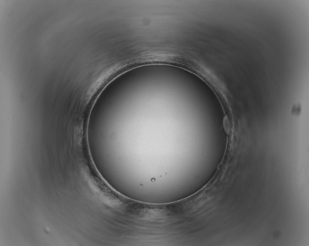 X0000111460107200907201122