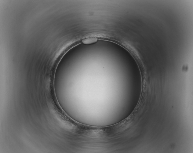 X0000111460108200907201122