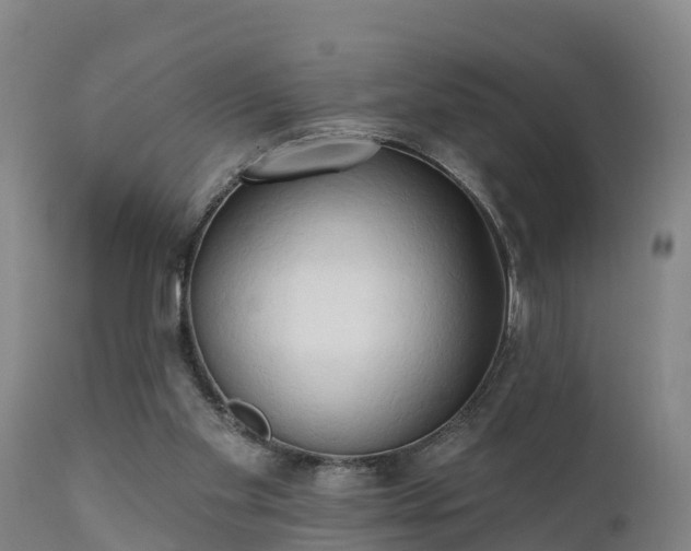 X0000111460109200907201122