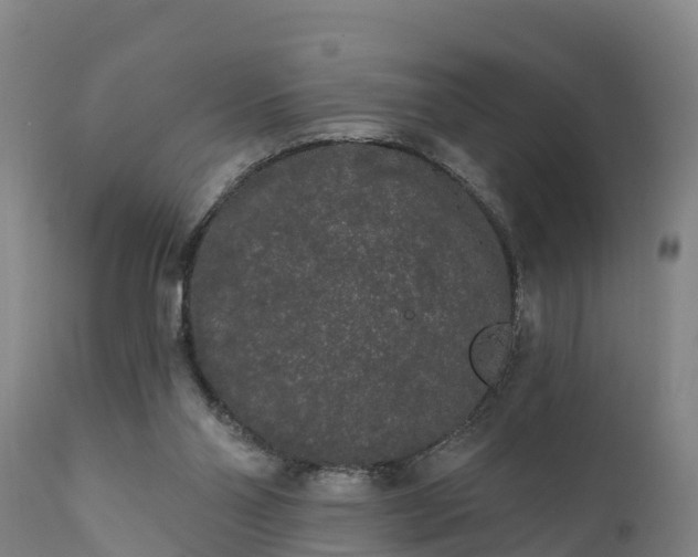 X0000111460110200907201122