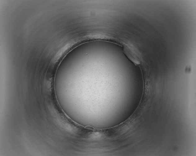 X0000111460111200907201122