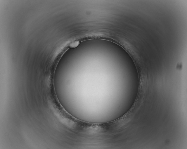 X0000111460112200907201122