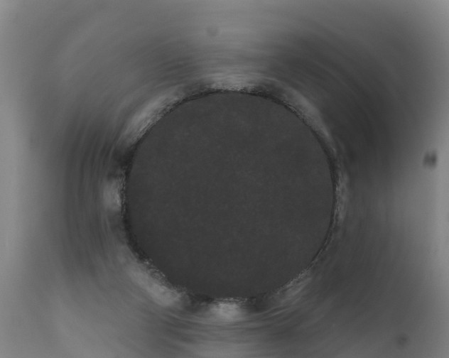 X0000111460114200907201122