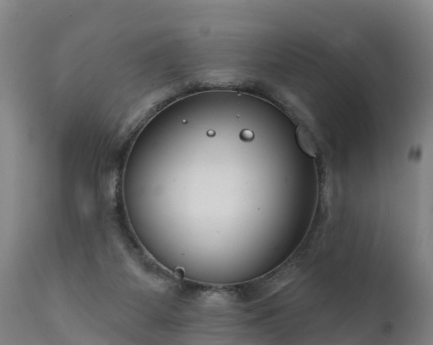 X0000111460115200907201122