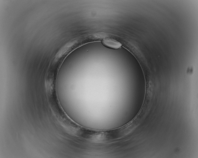 X0000111460116200907201122