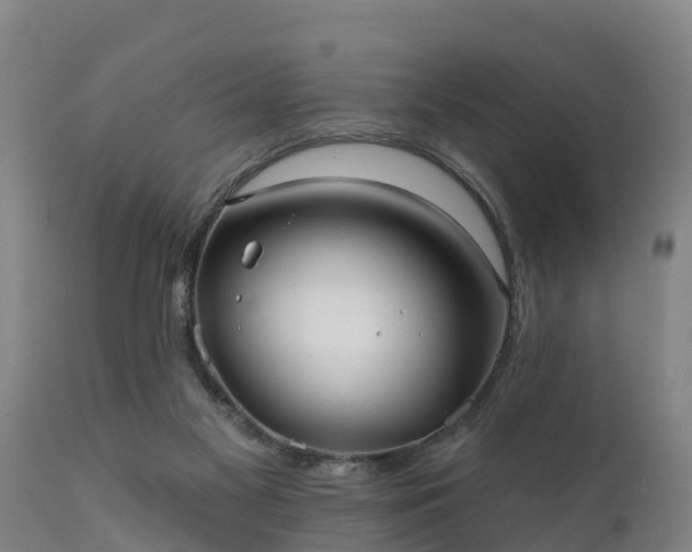 X0000111460117200907201122