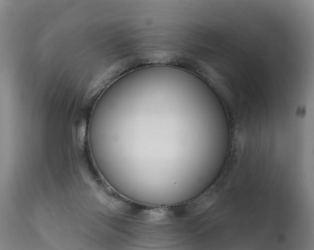 X0000111460118200907201122