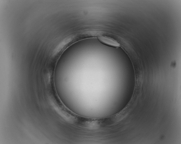 X0000111460120200907201122