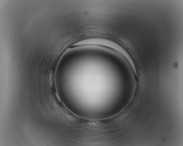 X0000111460121200907201122