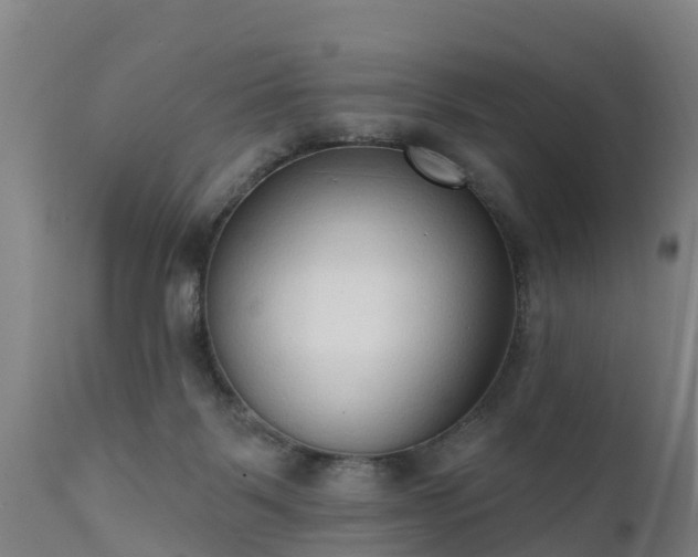 X0000111460123200907201122