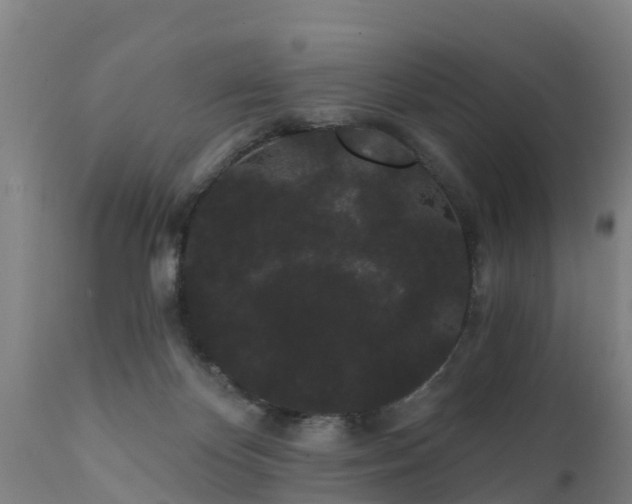 X0000111460124200907201122