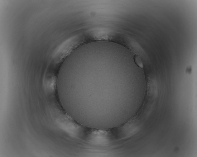 X0000111460125200907201122