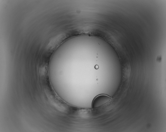 X0000111460126200907201122