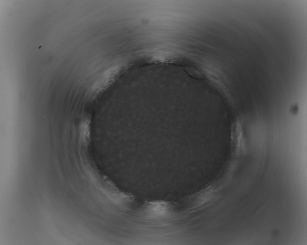 X0000111460127200907201122