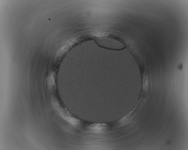 X0000111460128200907201122